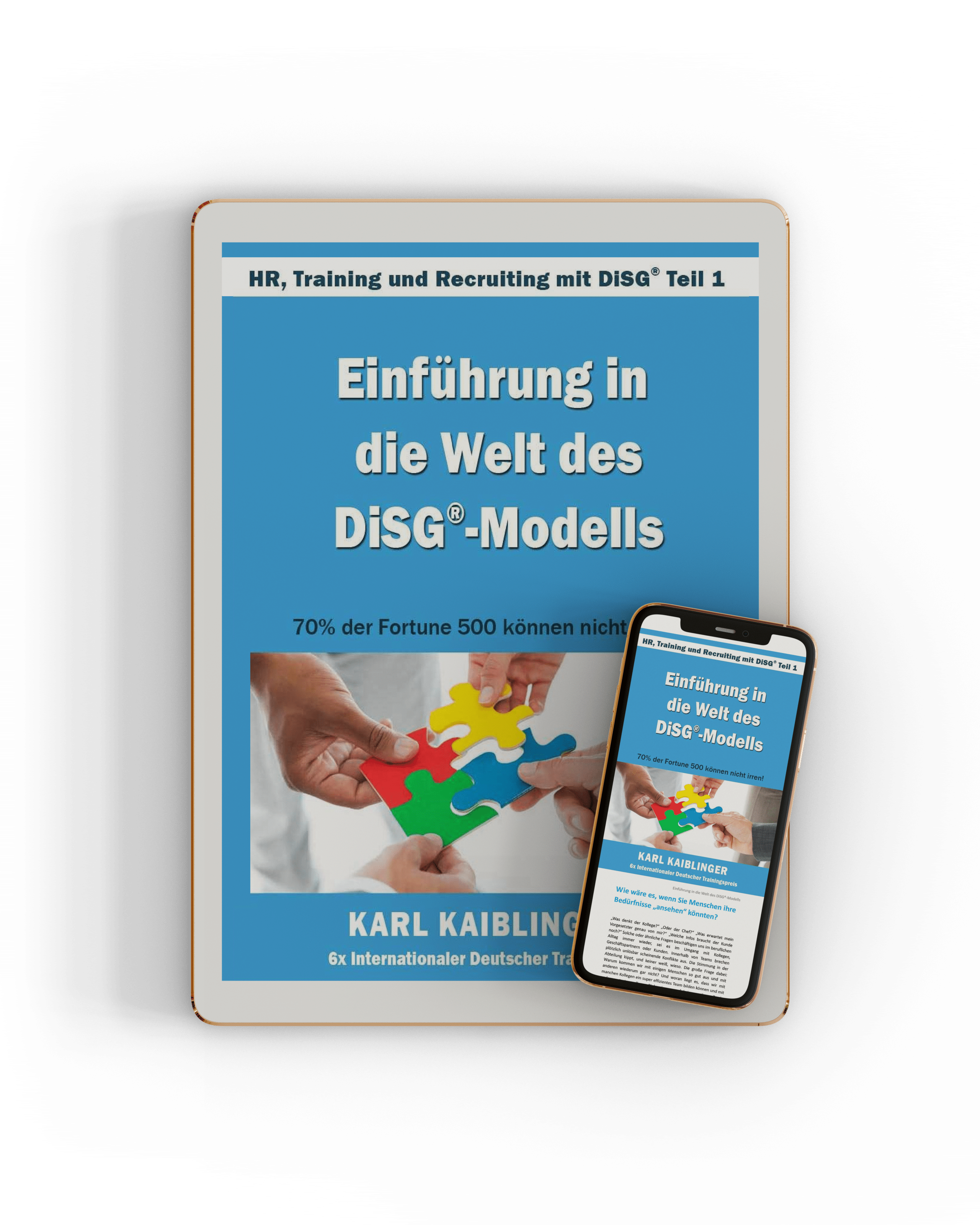 Das DiSG® E-Book von Karl Kaiblinger
