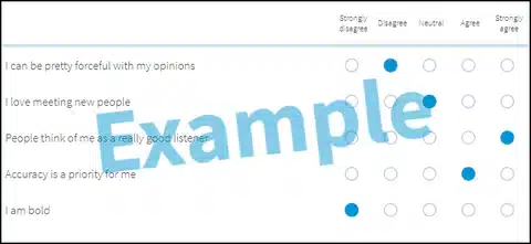 Vor der DiSG® Zertifizierung füllen Sie Ihre eigenen DiSG-Profile aus